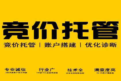 托管竞价SEM操作技巧与案例